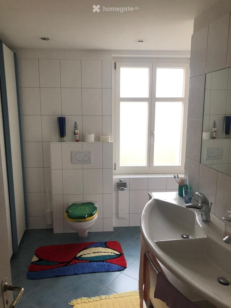 Bathroom with a toilet, sink, mirror, and various toiletries. Features a colorful rug on the floor and a window providing natural light.