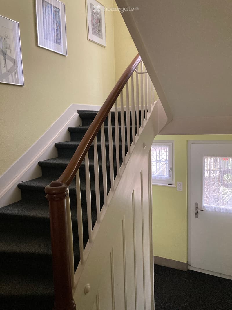 Corridor / Hallway. Staircase with wooden handrail and carpeted steps, leading to a door with glass panels and a small window.