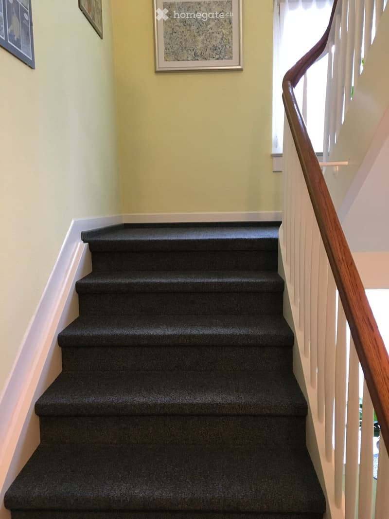 Corridor / Hallway. Carpeted staircase with wooden handrail and white walls, featuring framed artwork on the wall.