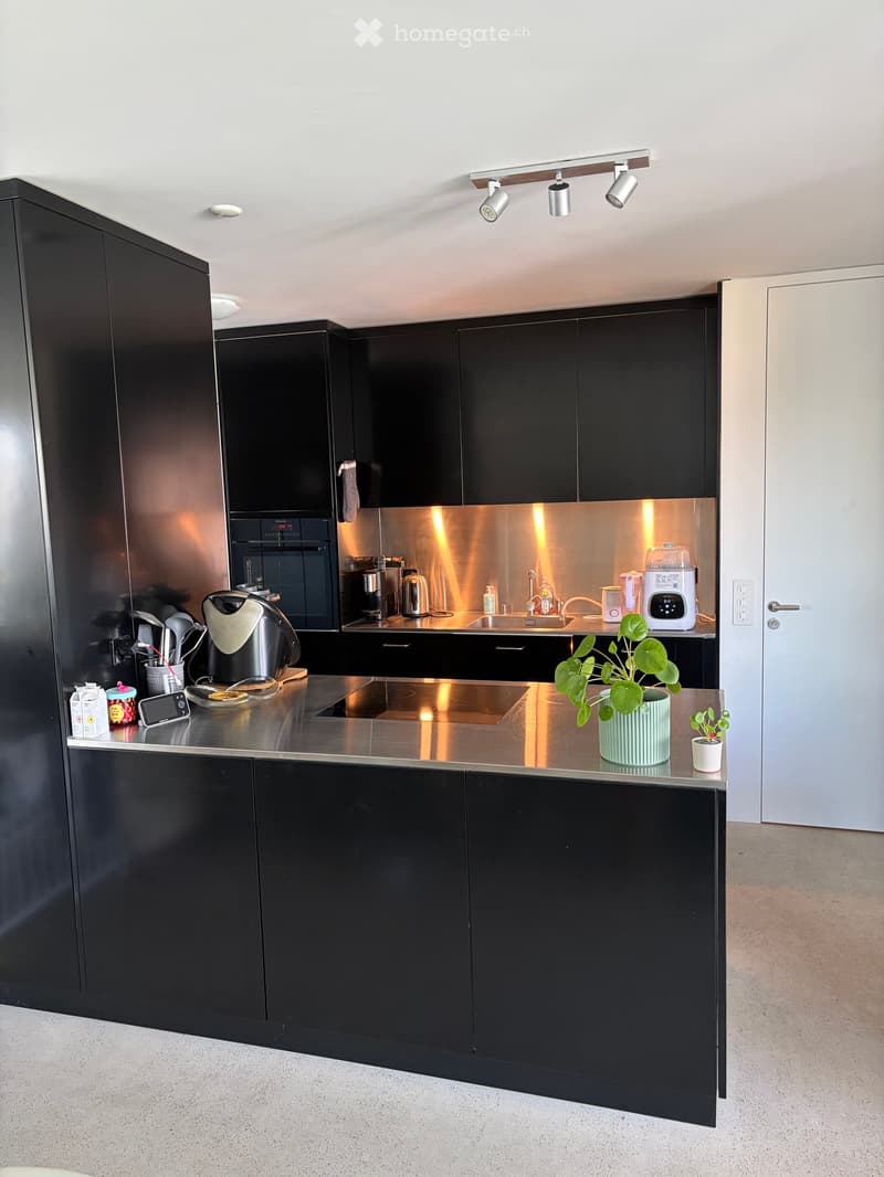 Modern kitchen with black cabinets, stainless steel appliances, and a central island with a built-in induction cooktop. The island features a small potted plant and a blender on the counter.