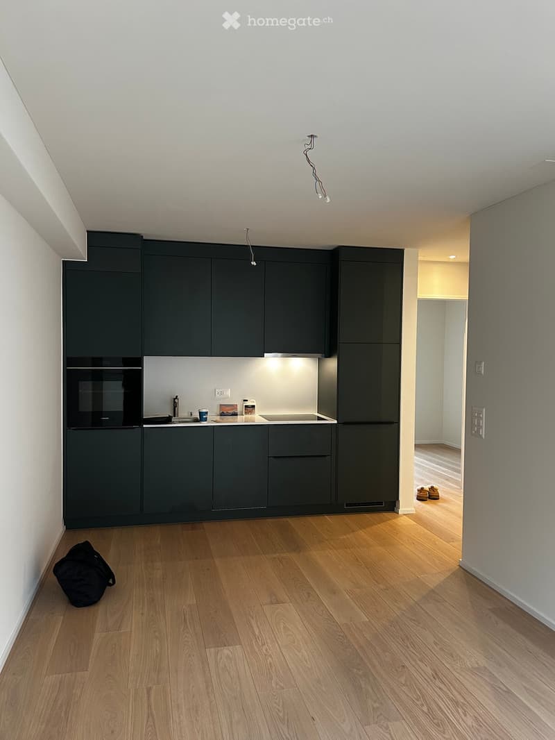 Modern kitchen with dark grey cabinets, stainless steel appliances, wooden flooring, and a small open area leading to another room.