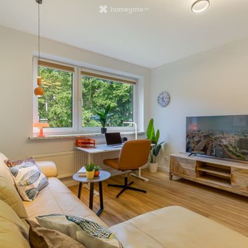 Bright living room with large windows, a sofa, coffee table, laptop on a small table, a chair, a television, and decorative plants.