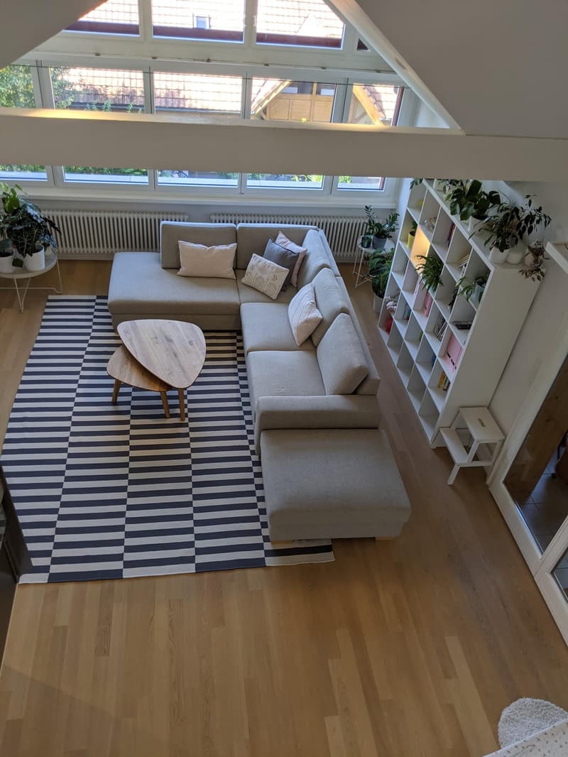 Modern living room with wooden flooring, large windows, grey sectional sofa, coffee table, bookshelf, and plants.