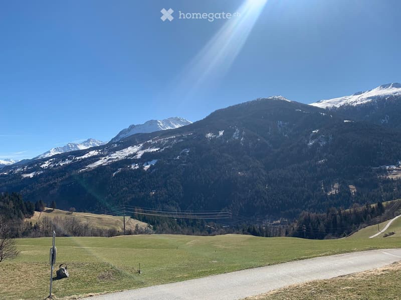 A scenic outdoor view of a grassy field with a road leading into the distance, surrounded by dense forest and snow-capped mountains under a clear blue sky.