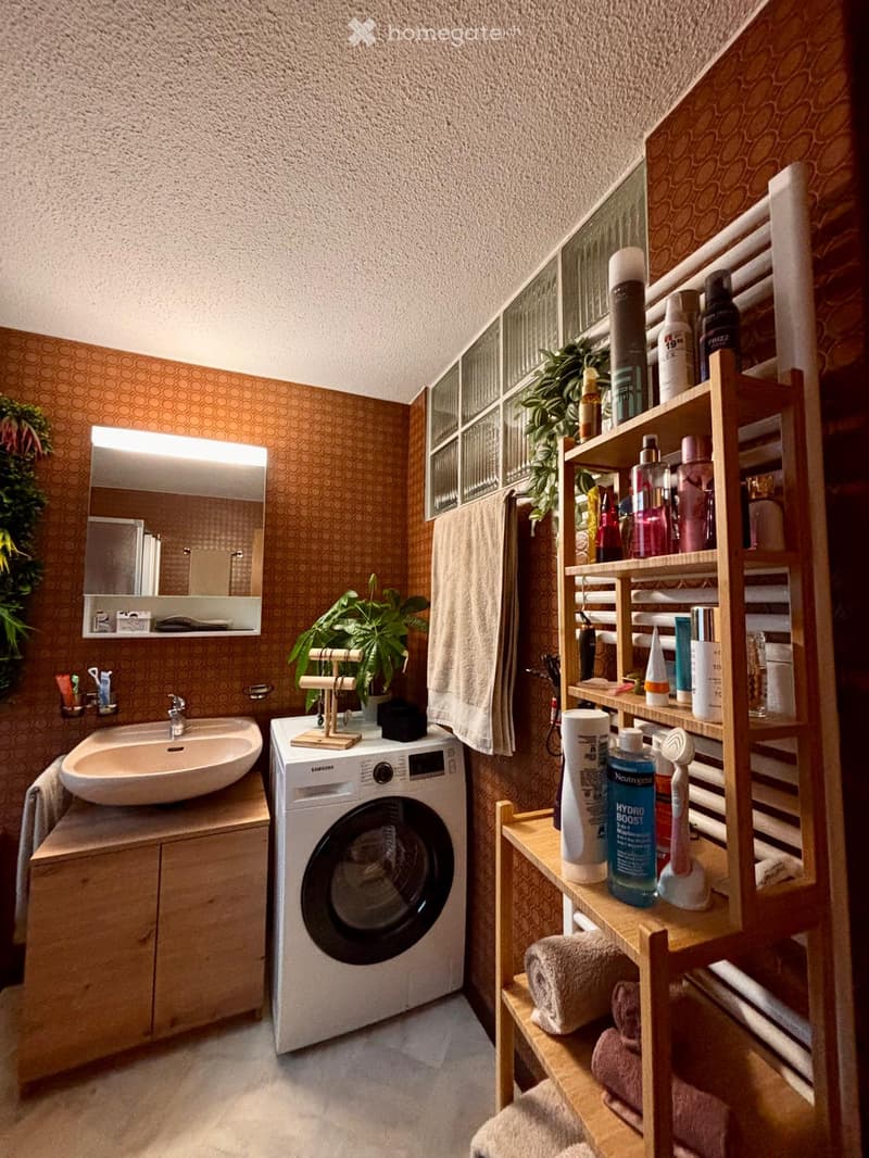 Bathroom with a sink, mirror, washing machine, wooden shelf with toiletries, and plants.
