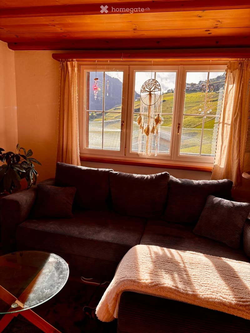 Cozy living room with a dark brown sectional sofa, a glass coffee table, a white blanket draped over the sofa, a dreamcatcher hanging from the ceiling, and a potted plant near the window offering a scenic mountain view.