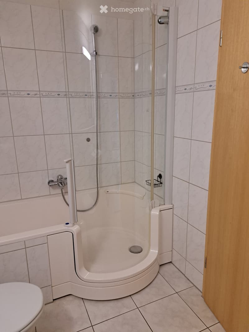 Modern bathroom with a walk-in shower, toilet, and tiled walls. The shower features a handheld sprayer and a built-in seat.