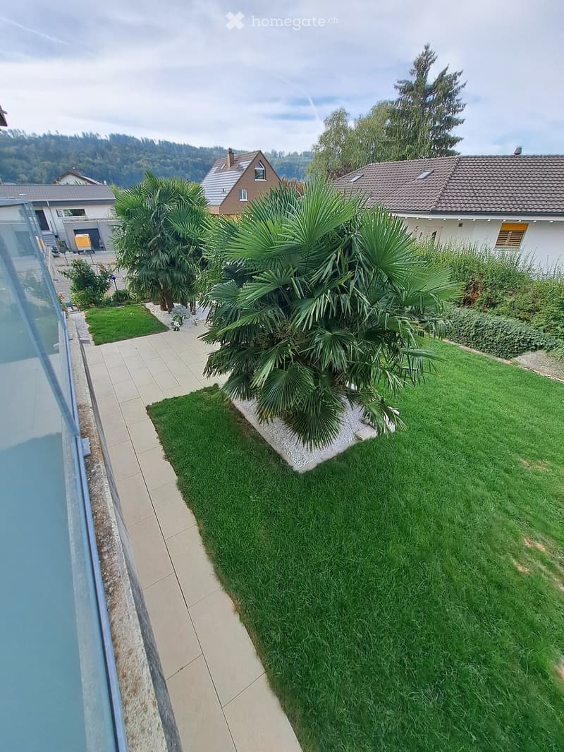 Well-maintained garden with a tiled pathway, manicured lawn, palm trees, and surrounding houses.