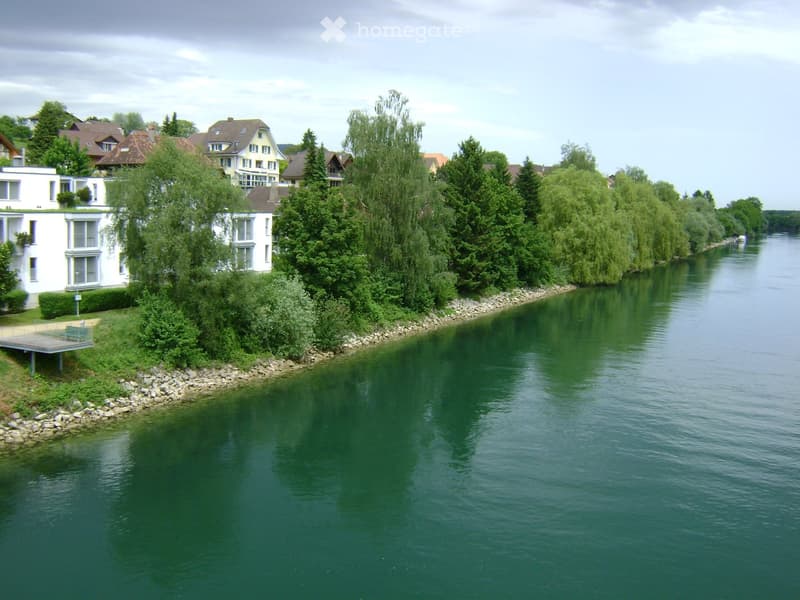 A serene riverside scene with a calm green river, a rocky riverbank, and several residential houses with gardens and trees lining the riverbank.