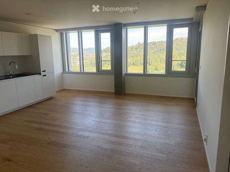 Empty kitchen with white cabinets, wooden flooring, and large windows overlooking a green landscape.