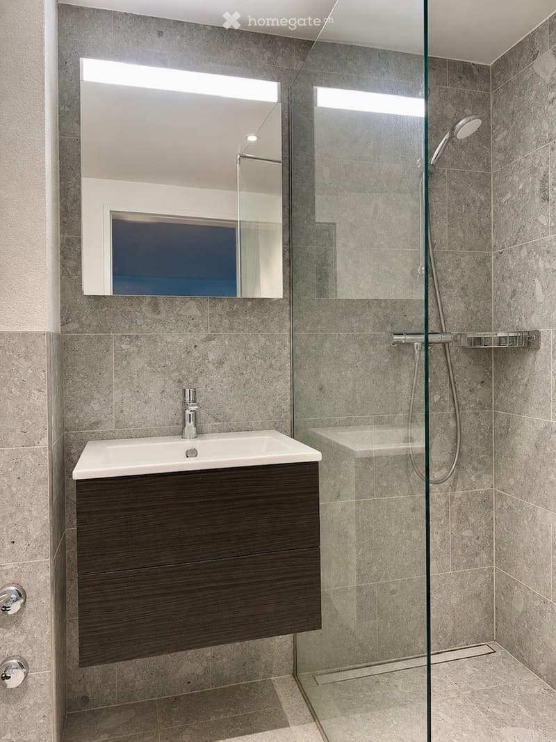Modern bathroom with a sleek dark wooden sink cabinet, a large mirror with built-in lighting, and a glass-enclosed shower with a modern showerhead.