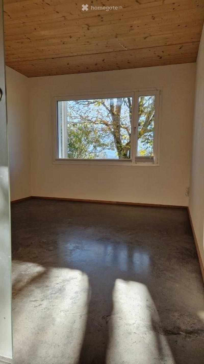 Empty room with wooden ceiling, large window showing outdoor view, concrete floor, and natural lighting.