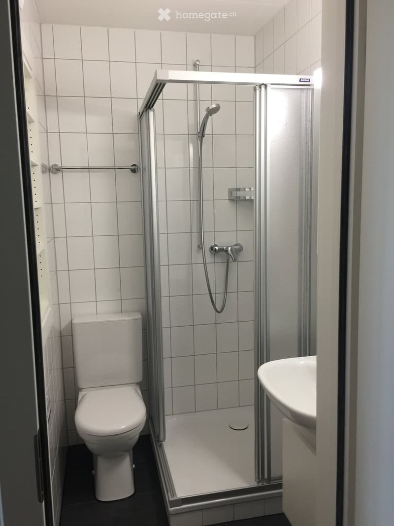 Modern bathroom with white tiles, a toilet, a sink, and a walk-in shower with a glass enclosure and a handheld showerhead.