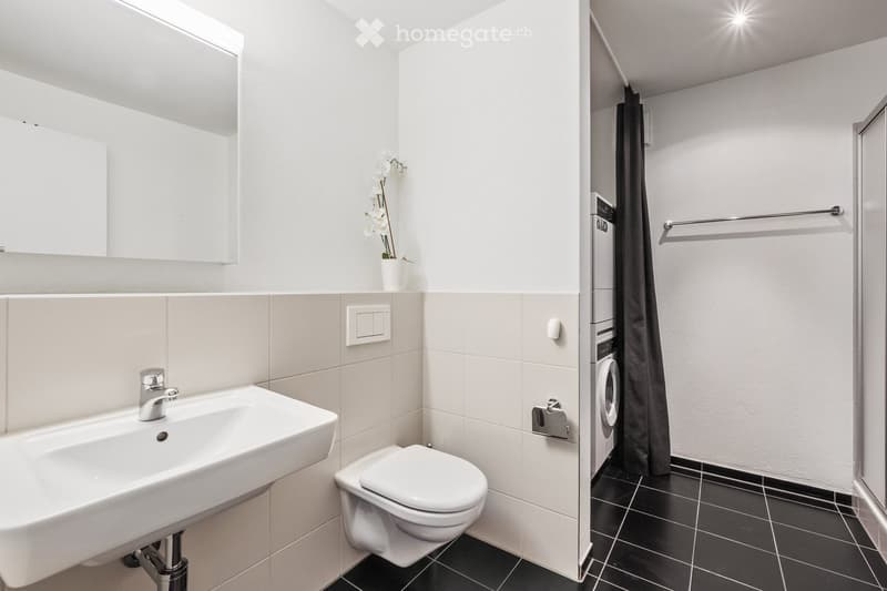 Modern bathroom with a white sink, chrome faucet, toilet, large mirror, and a washing machine in the adjacent space. The walls are tiled in light beige and black tiles, and a small flower vase is placed on the sink counter.