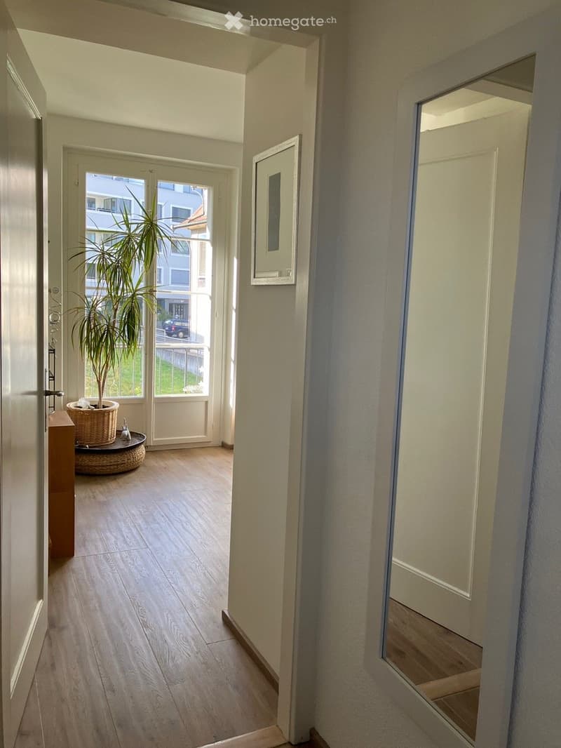 Bright hallway with wooden flooring, white walls, and a large window leading to a balcony area with a potted plant.