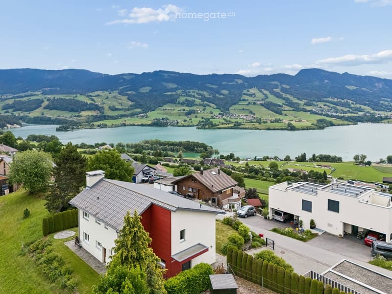 Aerial view of a residential area with several houses, surrounded by green fields, trees, and a lake in the background.