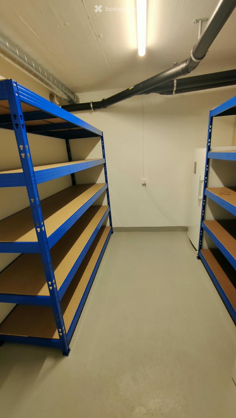 Empty storage room with blue metal shelving units and concrete floor.