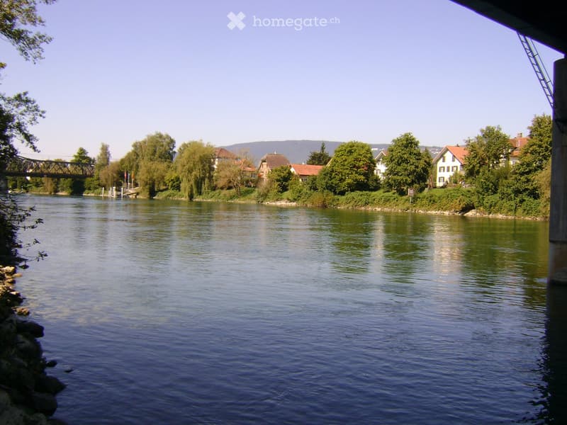 A serene river scene with calm water, a bridge in the background, and a small town with houses and trees on the opposite bank.