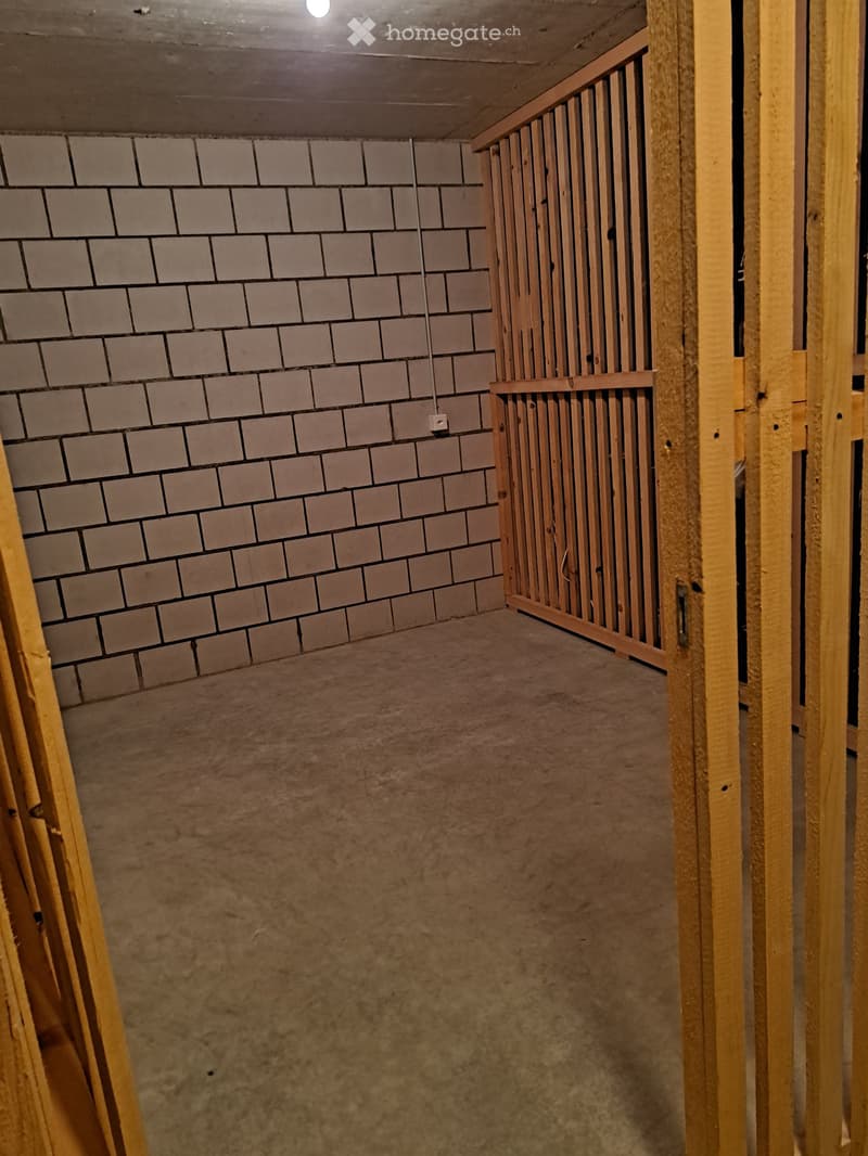 Empty unfinished basement with exposed brick walls, concrete floor, and wooden framing. No furniture or equipment present.
