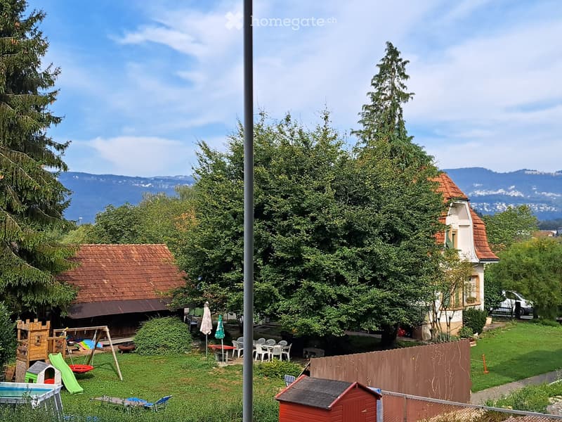 A well-maintained garden with a swing set, slide, small pool, and outdoor furniture, surrounded by trees and a view of distant hills.