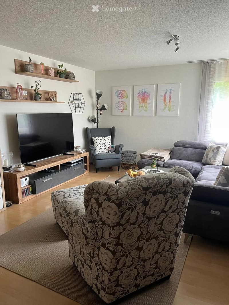 Modern living room with grey sectional sofa, armchair, coffee table, TV, shelves, and decorative items.