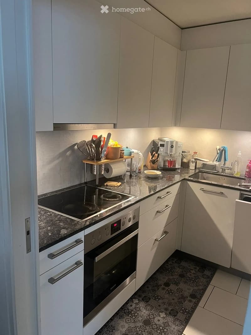 {"type": "Kitchen", "objects": ["oven", "induction stove", "sink", "faucet", "coffee machine", "cupboard", "bowl", "faucet", "faucet handle", "faucet sprayer", "faucet sprayer handle", "faucet sprayer hose", "faucet sprayer nozzle", "faucet sprayer spraye