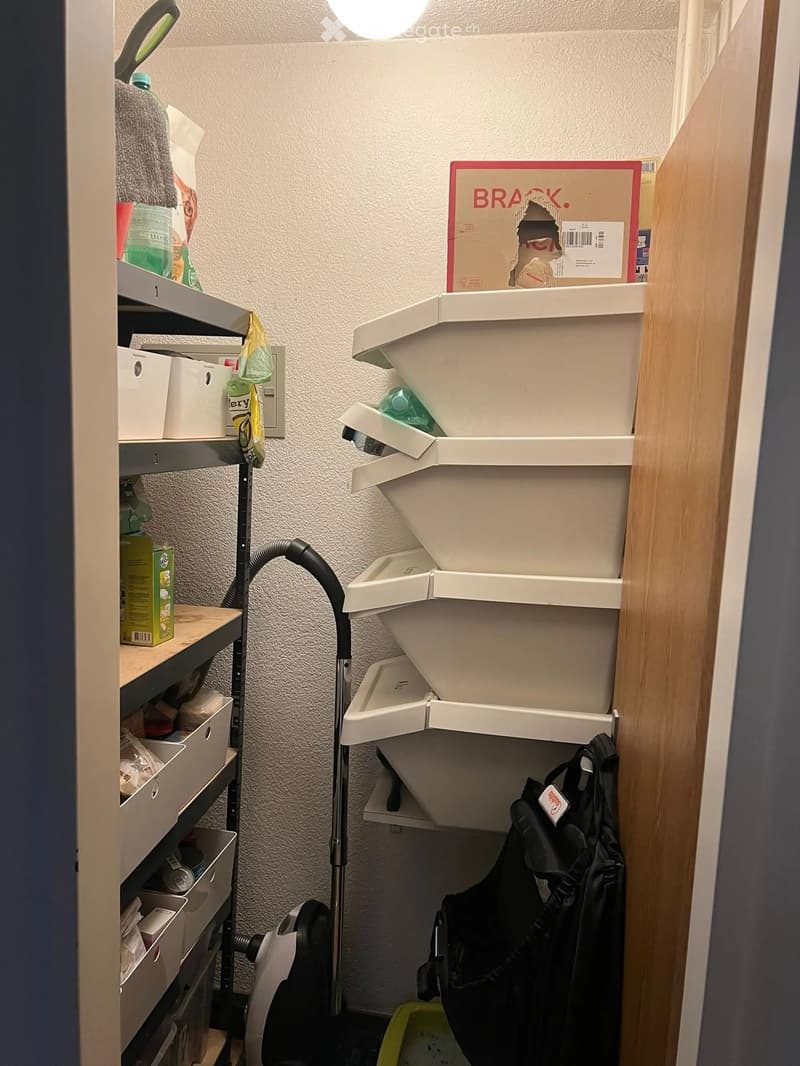 A small, organized closet with shelves holding storage bins, a cat litter box, a backpack, and a vacuum cleaner. A cardboard box is placed on top of the litter box.