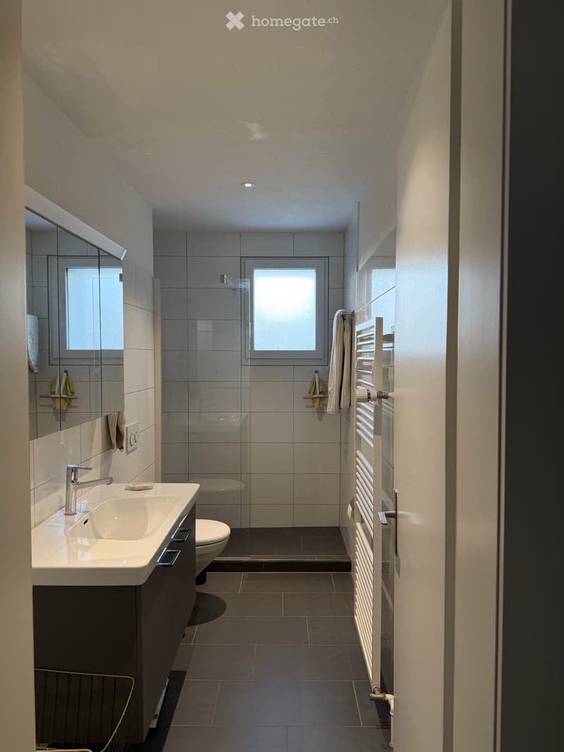 Möblierte 3.5-Zimmer-Wohnung befristet zur Untermiete (5)