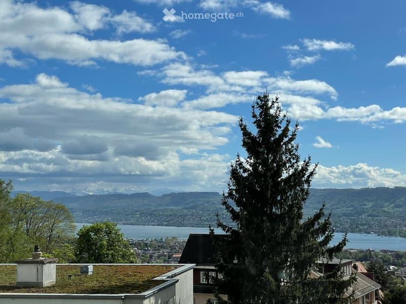 View from a rooftop showing a cityscape with a lake, mountains, and a tall evergreen tree in the foreground.