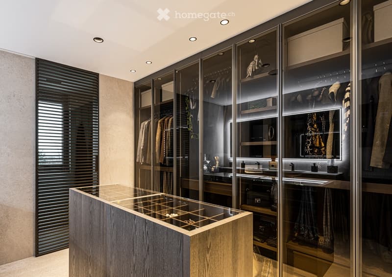 Modern walk-in closet with built-in wardrobe, sink, and display table. Features glass-fronted storage, sleek lighting, and a minimalist design.