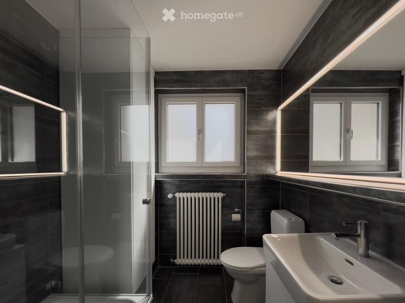 Modern bathroom with dark tiles, a glass-enclosed shower, a white sink with a modern faucet, a toilet, and a radiator below a window.