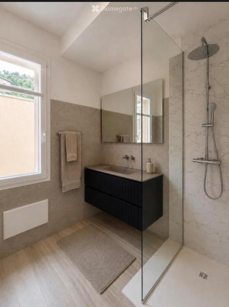 Modern bathroom with a dark vanity, large mirror, glass-enclosed shower, and a towel on a rack.