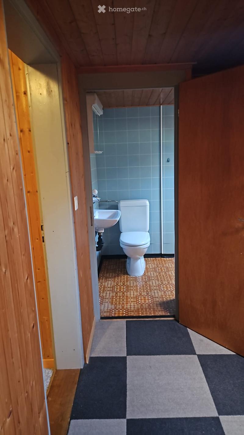 Bathroom with a toilet, sink, and blue tiled walls. The floor has a patterned rug and a small mat in front of the toilet.