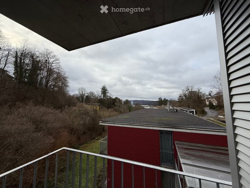 Balcony overlooking a residential area with a red brick building, trees, and a cloudy sky.
