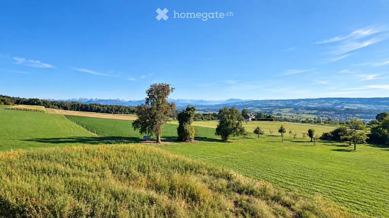 A panoramic view of a lush green landscape with rolling hills, scattered trees, and a distant town, under a clear blue sky.