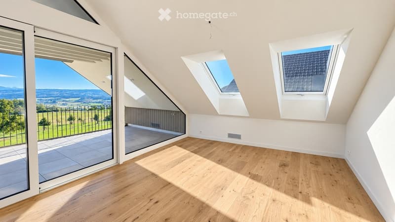 Bright, empty attic room with wooden flooring, large skylights, and a sliding glass door leading to a balcony with scenic views.