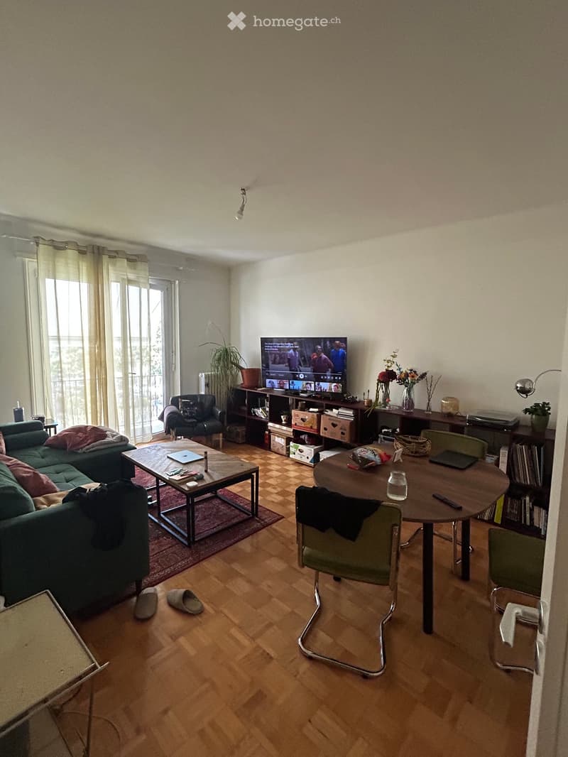 Living room with wooden flooring, a green sofa, coffee table, dining table with chairs, TV, bookshelf, and plants.