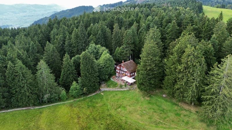 Aerial view of a house surrounded by dense forest, with a small patio and outdoor seating area.