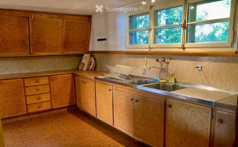 Kitchen with wooden cabinets, stainless steel sink, and tiled backsplash. Includes a dish rack, cleaning supplies, and a bottle on the counter.