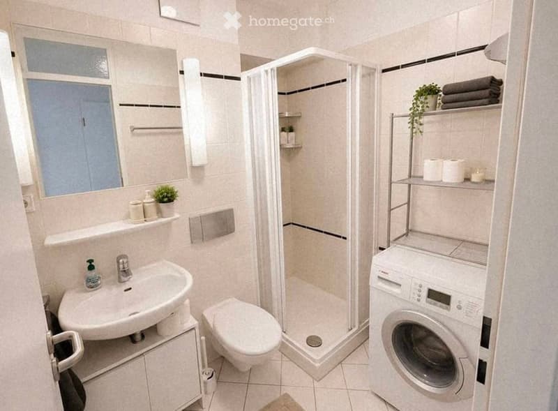 Modern bathroom with a sink, toilet, shower, washing machine, and shelves with towels and small plants.