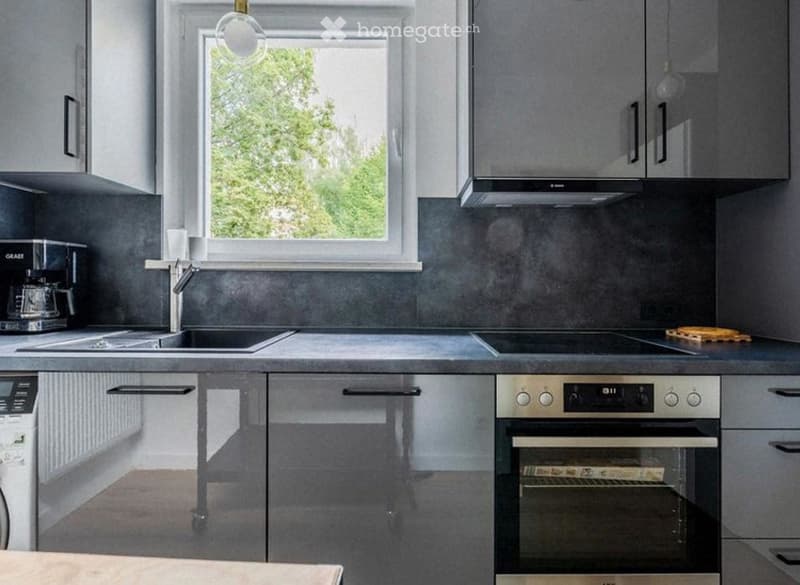 Modern kitchen with grey cabinets, stainless steel appliances, a large window, and a sleek countertop.