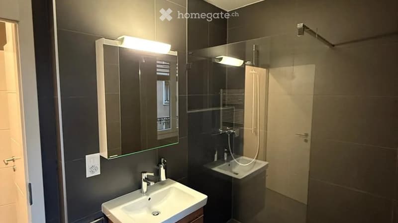Modern bathroom with two sinks, a large mirror with built-in storage, and a glass-enclosed shower area.