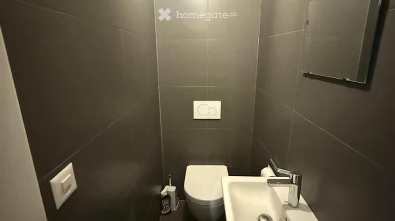 Modern bathroom with dark grey tiles, a toilet, a sink with a chrome faucet, a mirror, and a toilet paper holder.