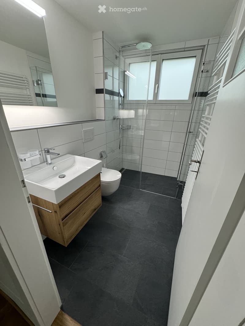 Modern bathroom with a white sink, wooden cabinet, toilet, glass shower enclosure, and a radiator. The floor is dark grey tiles, and the walls are white with a black accent strip.