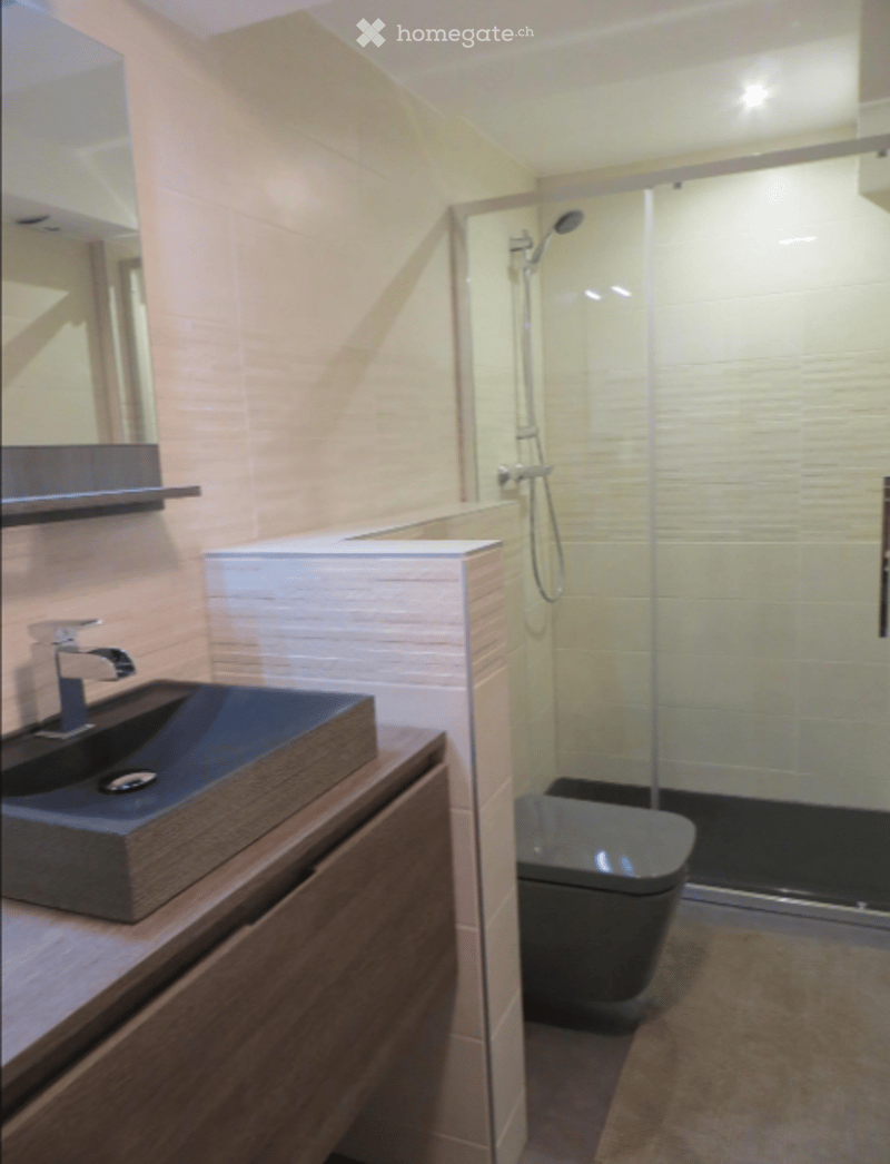 Modern bathroom with a sleek sink, mirror, glass-enclosed shower, and toilet.