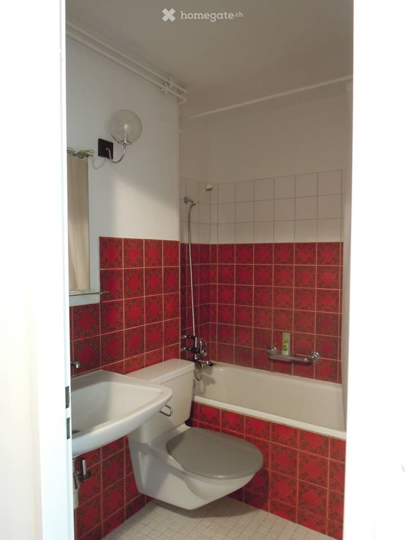 Businessapartment Nähe Albisriederplatz (11)