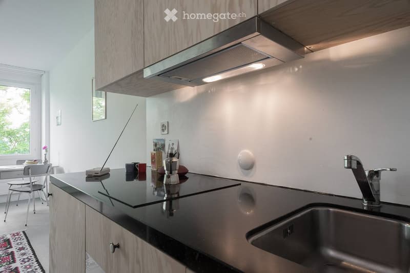 Businessapartment Nähe Albisriederplatz (12)