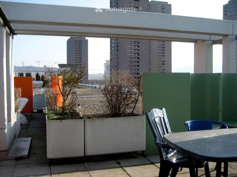 Businessapartment Nähe Albisriederplatz (14)