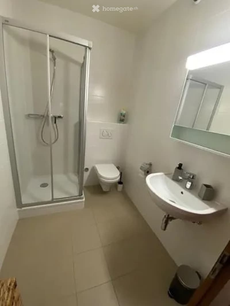 Modern bathroom with a glass-enclosed shower, toilet, sink, and mirror. Light-colored tiles and a sleek design.