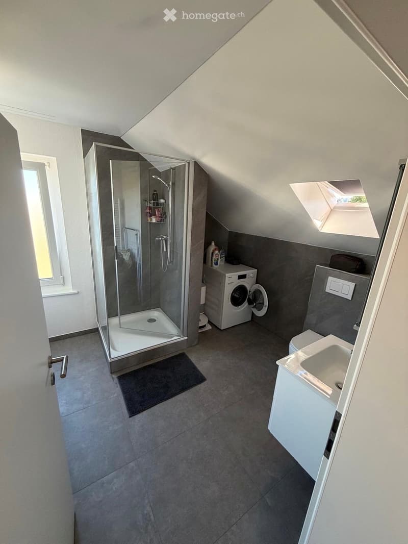Modern bathroom with a glass-enclosed shower, sink, toilet, washing machine, and a skylight window providing natural light.